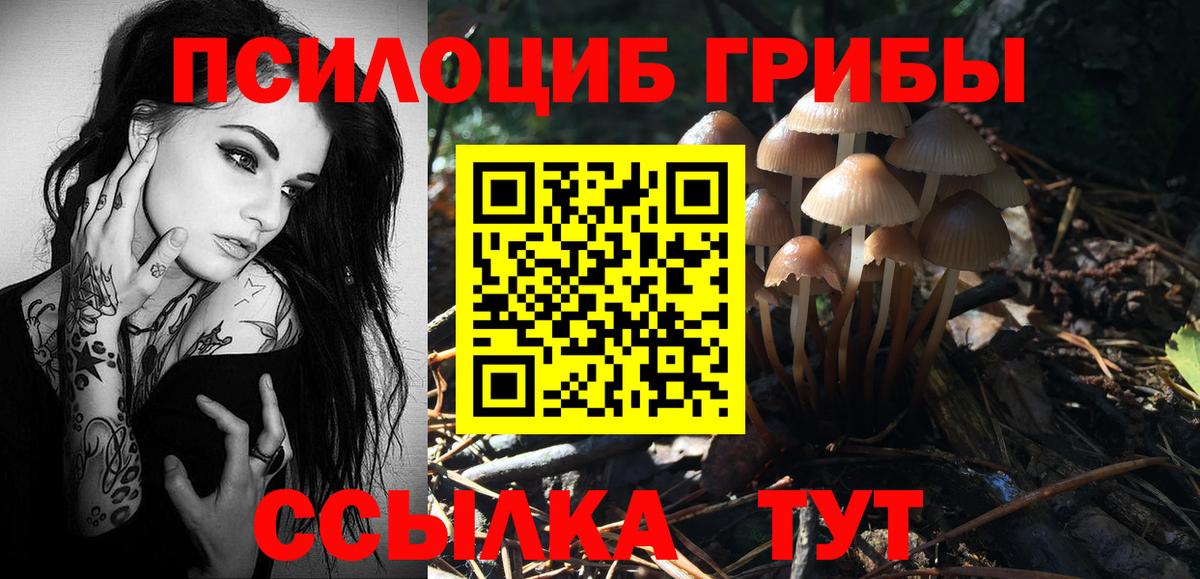 Галлюциногенные грибы GOLDEN TEACHER  Вход с VPN  Псилоцибиновые грибы Psilocybine cubensis  Бердск 