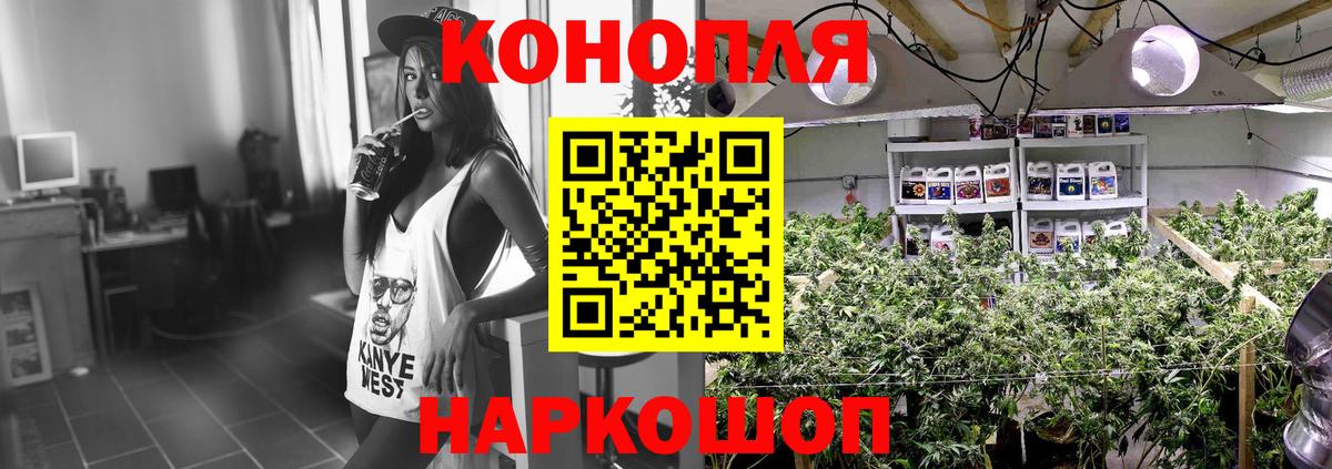 Канабис Amnesia Бердск
